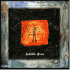 Indelible Grace