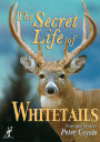 The Secret Life of Whitetails