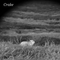 Title: Enough Salt, Artist: Crake