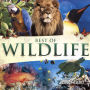 Best of Wildlife