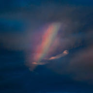 Title: Pool Kids, Artist: Pool Kids