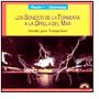 Los Sonidos de la Tormenta a la Orilla del Mar