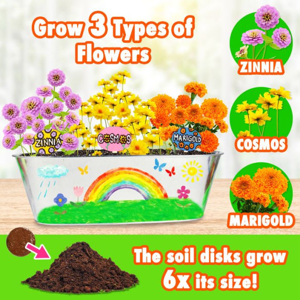 Miracle Gro Kids DIY Flower Growing Kit