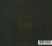 Alternative view 2 of V