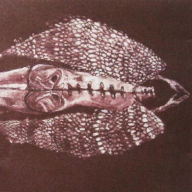 Title: Cerberus Shoal, Artist: Cerberus Shoal