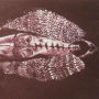 Cerberus Shoal