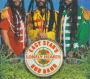 Easy Star's Lonely Hearts Dub Band