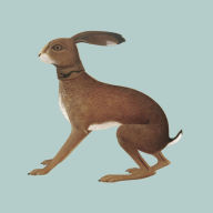 Title: Lookaftering, Artist: Vashti Bunyan