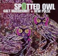 Spotted Owl