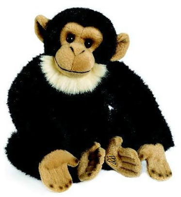 chimpanzee webkinz