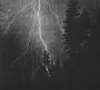 Deluge
