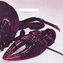 Kershaw: Genus Cambarus