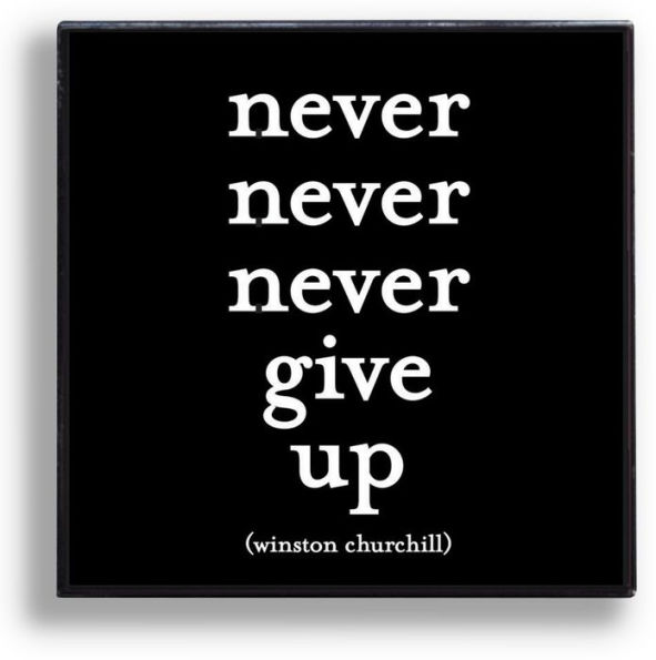 Pin - Never never never give up.