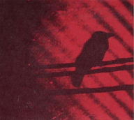 Title: Born into Trouble as the Sparks Fly Upward, Artist: A Silver Mt. Zion
