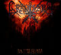 In the Glare of Burning Churches