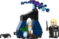 Title: LEGO Harry Potter Draco in the Forbidden Forest 30677