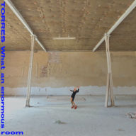 Title: What an Enormous Room, Artist: Torres