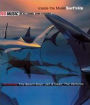 Inside the Music: Surf's Up