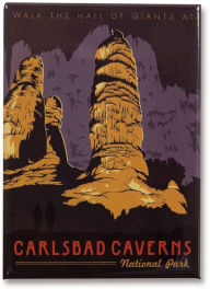 Title: Carlsbad Caverns NP Magnet