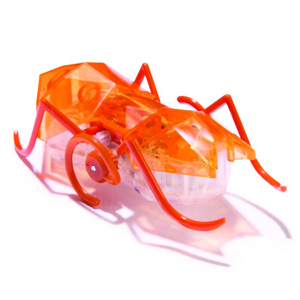 Master Carton HEX Micro Ant Assortment CDU