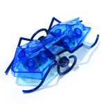 Alternative view 5 of Master Carton HEX Micro Ant Assortment CDU