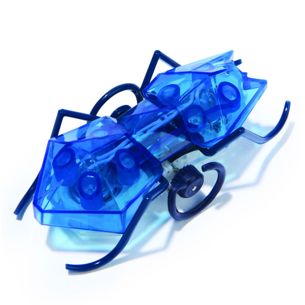 Master Carton HEX Micro Ant Assortment CDU