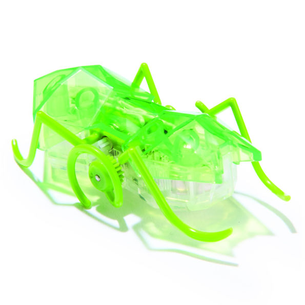 Master Carton HEX Micro Ant Assortment CDU