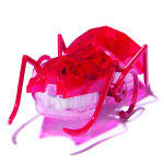 Alternative view 8 of Master Carton HEX Micro Ant Assortment CDU