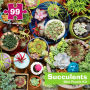 Succulents 99-Piece Mni Puzzle Kit