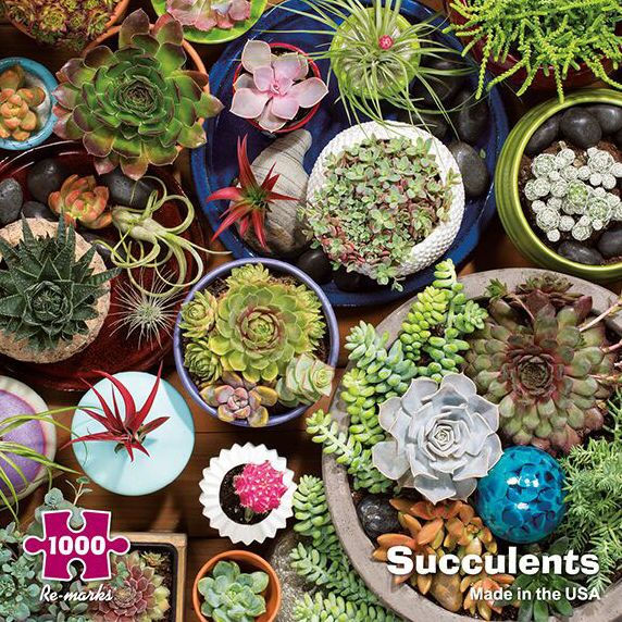 1000 Piece Puzzle - Succulents