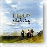 Black Dog