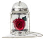 Beauty & the Beast Rose Vase Crossbody