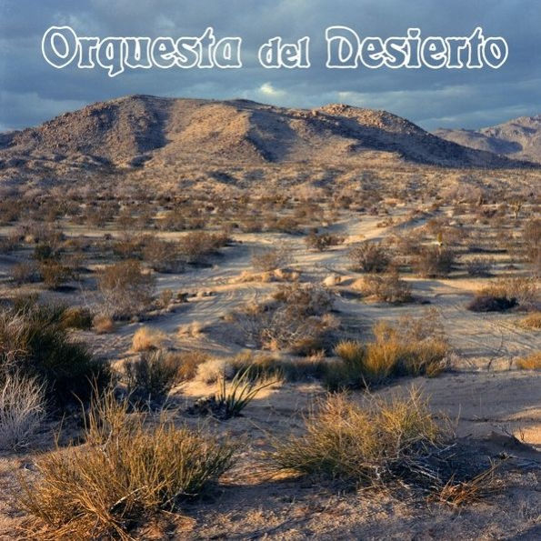 Orquesta del Desierto