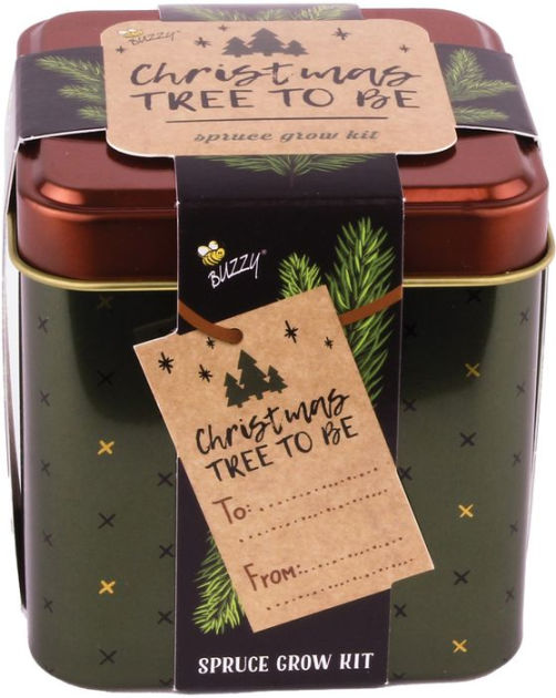 Square Grow Tin Spruce by Buzzy Seeds Barnes & Noble®