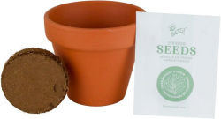 Alternative view 2 of Save The Bees Classic Terra Cotta Grow Kit- Cosmos