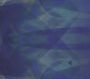 Bluefly