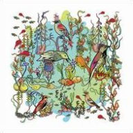 Title: The Dreamers: The Gentle Side, Artist: John Zorn