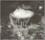 The Crucible
