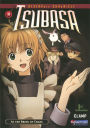 Tsubasa Reservoir Chronicle, Vol. 11: at the Brink of Chaos