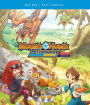 Monster Hunter Stories: Ride On - Season One - Part Four [Blu-ray]