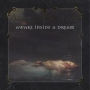 Awake Inside a Dream