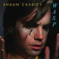 Title: Wasp, Artist: Shaun Cassidy