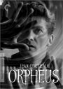 Orpheus [Criterion Collection] [2 Discs]