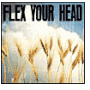 Flex Your Head