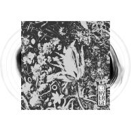 Title: The Dusk in Us, Artist: Converge