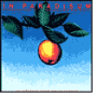 In Paradisum: Enigma Tunes