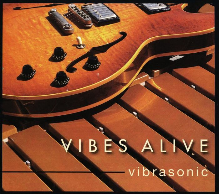 Vibrasonic by Vibes Alive CD Barnes & Noble®