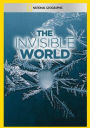 The Invisible World