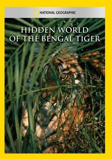 National Geographic: Hidden World of the Bengal Tiger | DVD | Barnes