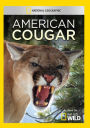 American Cougar